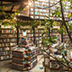 Bookstore Mexico City