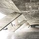 Museu de Arte Moderna do Rio de Janeiro, 1954