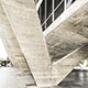 Museu de Arte Moderna do Rio de Janeiro, 1954
