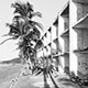 Abandoned hotel destroyed by earthquake, Mexico
