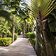 Isle de France, St.Barth