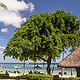 The Oberoi, Mauritius