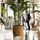 La Terrasse, Interlaken