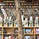 Bookstore Mexico City