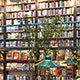 Bookstore Mexico City
