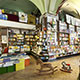 Bookstore Bologna, Italy